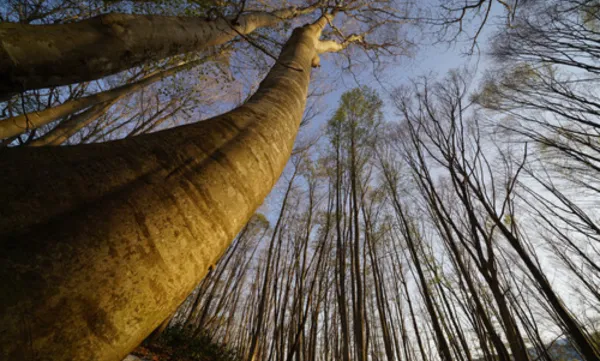 Grand-Landscape-Interior-Space_ninebig